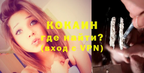 сатива Богданович