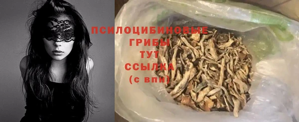 сатива Богданович