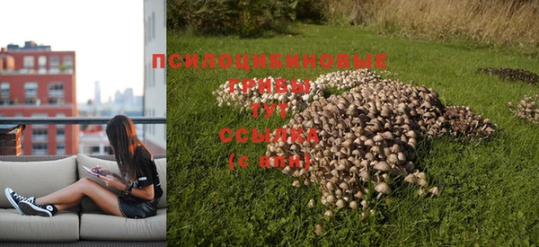 сатива Богданович