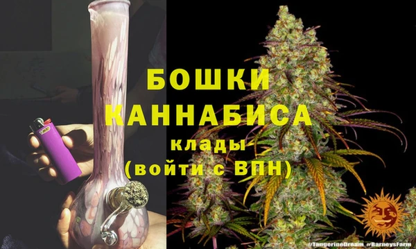 сатива Богданович