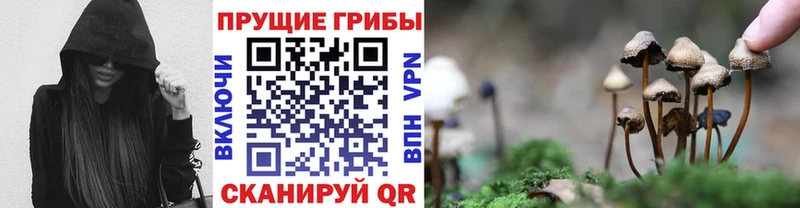Галлюциногенные грибы ЛСД  Купить где  Жуков 